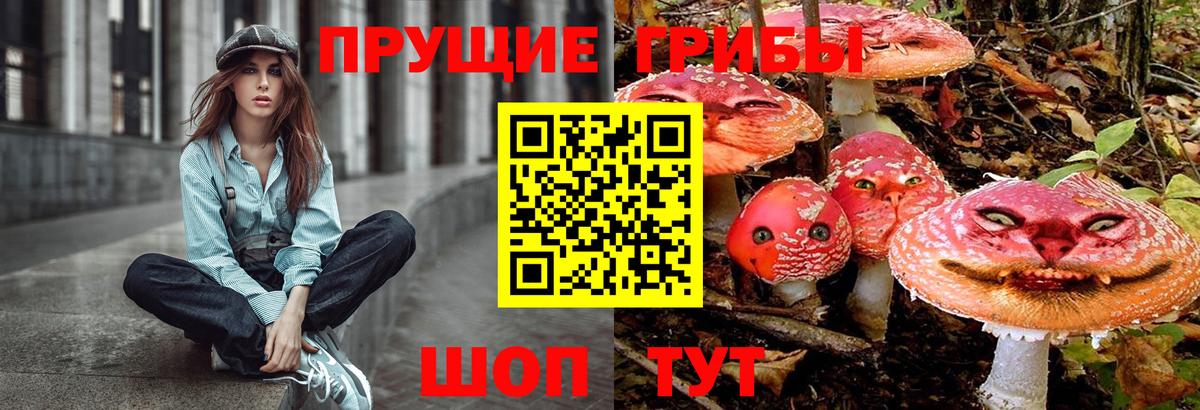 Галлюциногенные грибы Psilocybe Нижневартовск